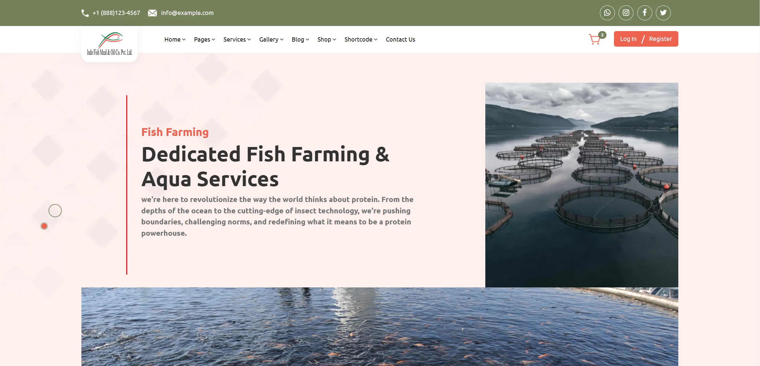 Indo Protein Website on desktop